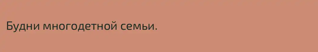 Будни многодетной семьи.